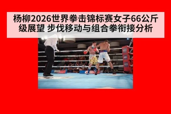 杨柳2026世界拳击锦标赛女子66公斤级展望 步伐移动与组合拳衔接分析