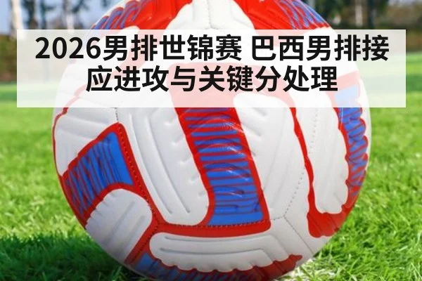 2026男排世锦赛 巴西男排接应进攻与关键分处理