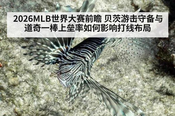 2026MLB世界大赛前瞻 贝茨游击守备与道奇一棒上垒率如何影响打线布局
